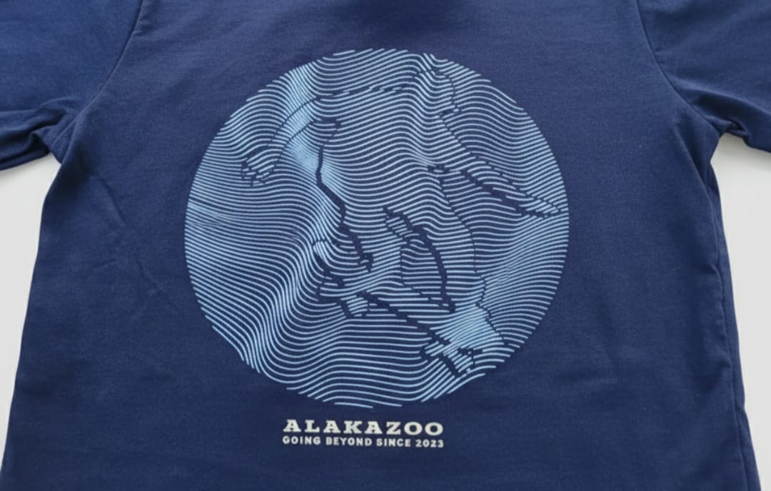 Conjunto Infantil Alakazoo Skate – Blusa e Bermuda Masculina Confortável e Estilosa